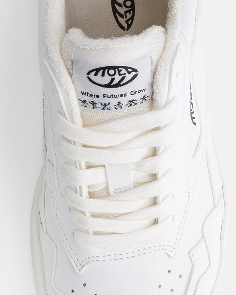 Origin – Full White Corn – Damen